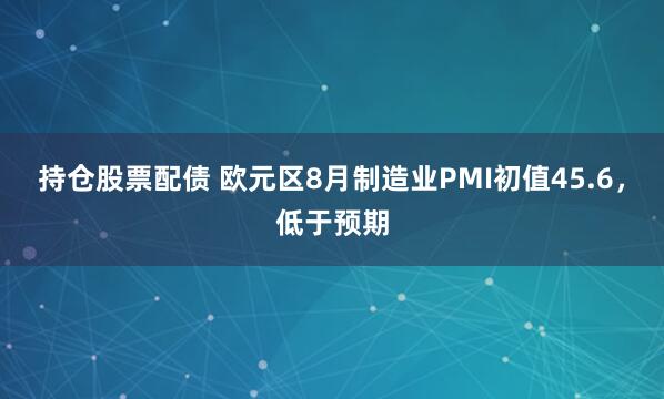 持仓股票配债 欧元区8月制造业PMI初值45.6，低于预期
