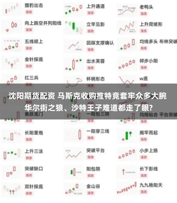 沈阳期货配资 马斯克收购推特竟套牢众多大腕 华尔街之狼、沙特王子难道都走了眼?
